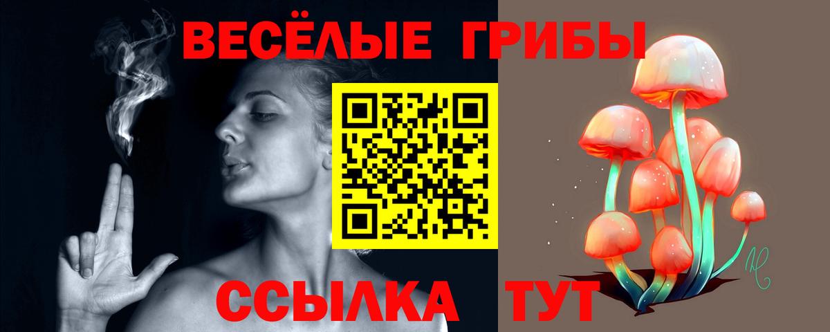 Галлюциногенные грибы ЛСД Рузаевка